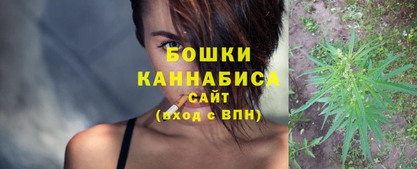 ГАЛЛЮЦИНОГЕННЫЕ ГРИБЫ Абаза